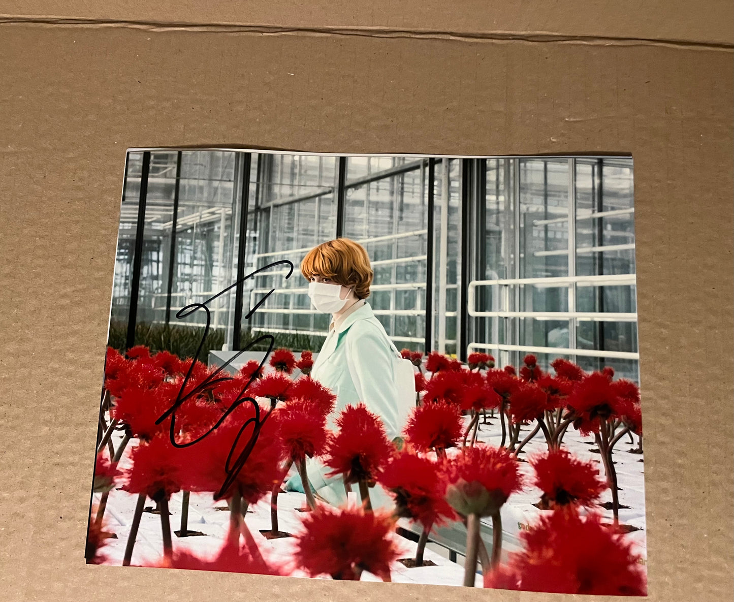 Emily Beecham Signed 10x8