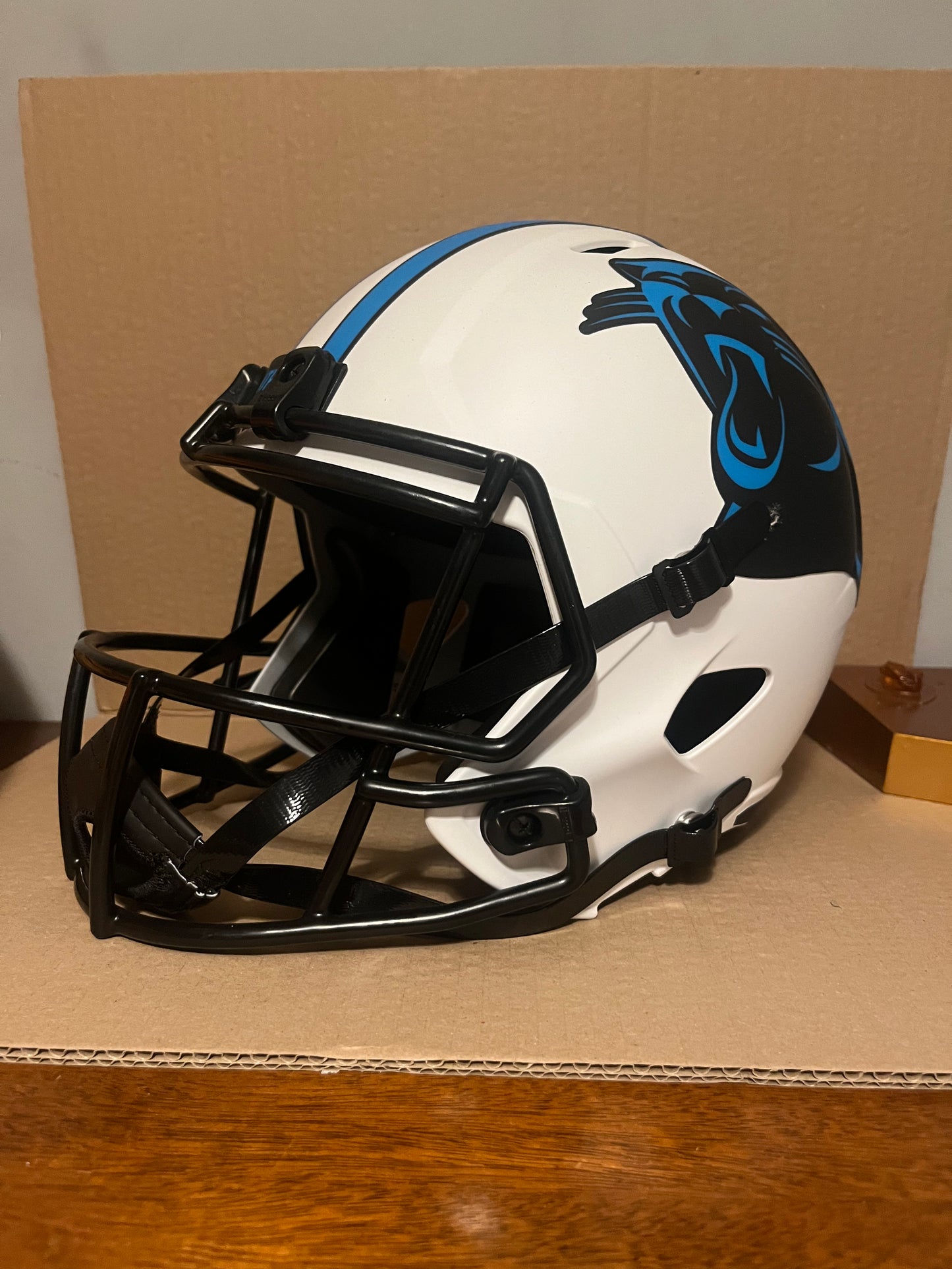 Julius peppers signed full size replica NFL helmet